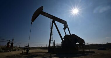 U.S. oil prices log biggest weekly drop in a year as demand concerns persist
