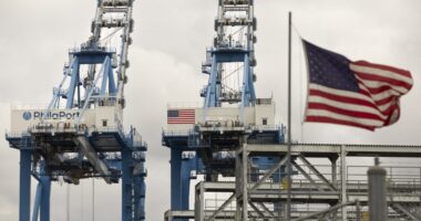 U.S. ports strike could create disruption, but opportunity for these distribution companies