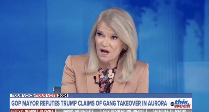 ABC News' Martha Raddatz defends violent migrant gangs taking over
