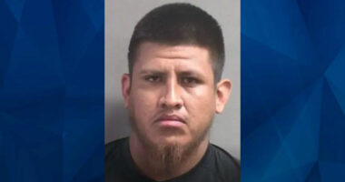 Victim Foils Rape by Calling 911 to ‘Order a Pizza’