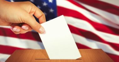 Voting Chaos as Election Websites Crash.