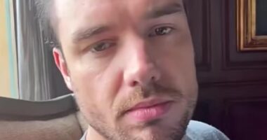 Liam Payne 's body was found in a hotel courtyard next to a lighter, a whiskey bottle and a mobile phone