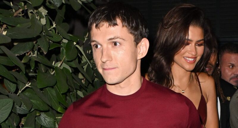 Zendaya Tom Holland Moves Photographer Out Of Her Way Path New York City
