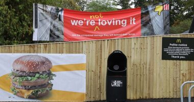 Rachel Laidler, 55, unfurled this cheeky 'we're not loving it' banner ten minutes before the grand opening of the new fast food outlet