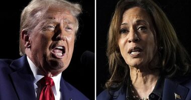 With polls calling the race between Republican Donald Trump and Democrat Kamala Harris too close to call there's a question over whether either will reach the necessary 270 Electoral College votes to win the November 5 election outright.