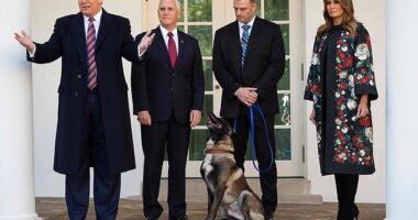Melania Trump with President Donald Trump, Vice President Mike Pence, hero dog Conan and his handler during a November 2019 event in the White House Rose Garden