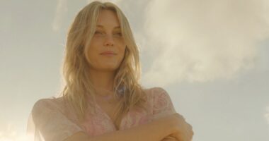 What's Up With The Cat & The Fox In Disclaimer? Real Meaning & Theories Explained