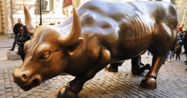 What’s ‘surprising’ about interest rates in the stock market’s two-year bull run
