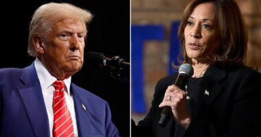 Where Donald Trump and Kamala Harris stand on 15 key issues in the 2024 election as the race heats up