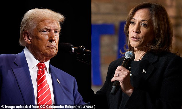 Where Donald Trump and Kamala Harris stand on 15 key issues in the 2024 election as the race heats up