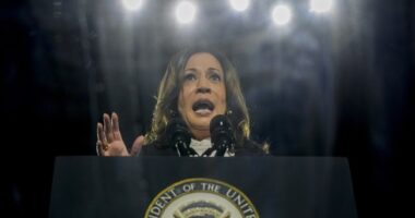 While Biden Bites Babies, Kamala Harris Tries One Last Desperate Pivot to Save Her Campaign – RedState