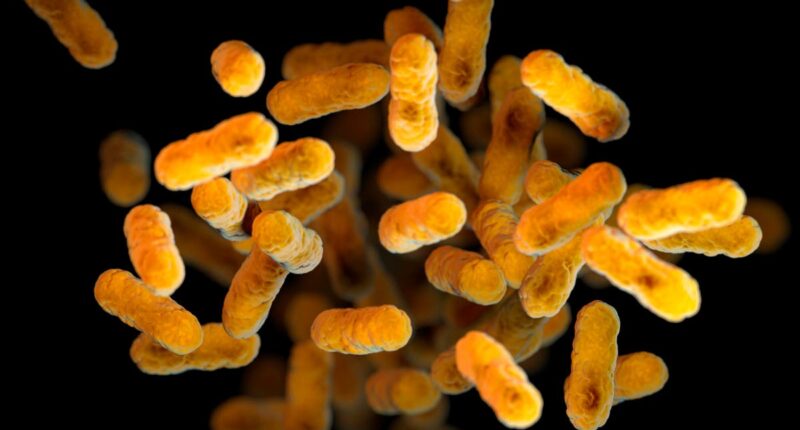 Whooping cough is at a decade-high level in US