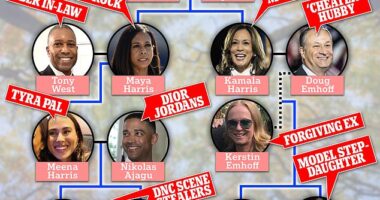 Kamala Harris' 'big blended family' begins with the bedrock of her late mom Shyamala who raised her and sister Maya after divorcing their dad but extends all the way to the ex-wife of husband Doug Emhoff, who he cheated on with their kids' nanny