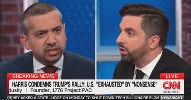 A conservative panelist was kicked off the set of a CNN show after a wild exchange with a liberal commentator about Trump's heated New York City rally