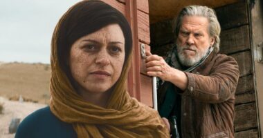 Will It Happen? Everything We Know