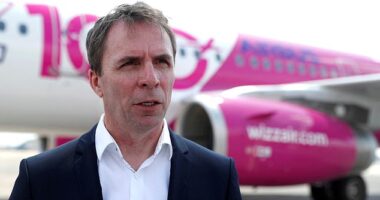 CEO József Váradi (pictured) may earn a paltry £710,000 - but he's due to receive a 'one-off' bonus worth 300 percent of that salary - in the region of £2.1 million