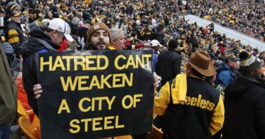 Woman Carrying Pro-DJT Sign Rushes Field at Jets-Steelers Game, Trump in Attendance – RedState