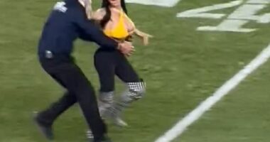 A woman was apprehended on the field at Jets-Steelers in Pittsburgh holding a pro-Trump sign