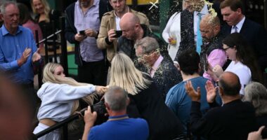 Woman who threw McDonald’s milkshake at Nigel Farage admits assault
