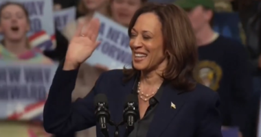 Yes, Kamala Harris Really Is That Stupid