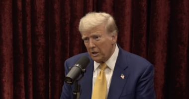 Former President Donald Trump joins the Joe Rogan experience