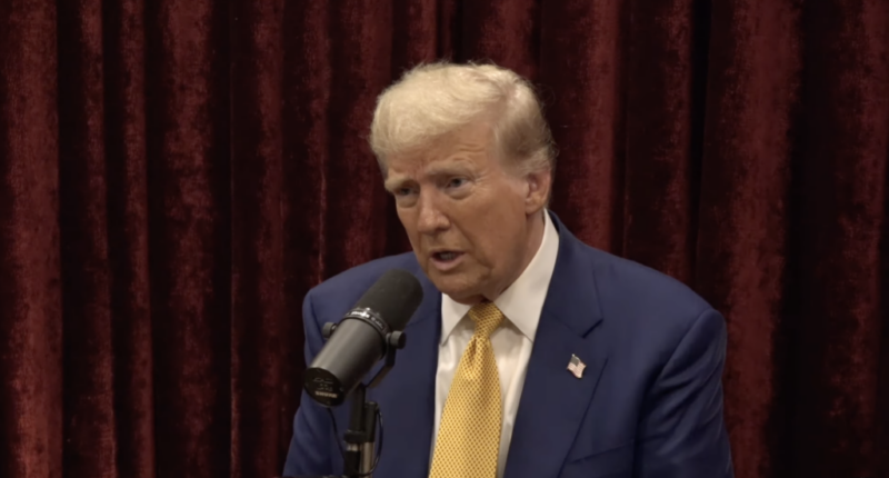 Former President Donald Trump joins the Joe Rogan experience