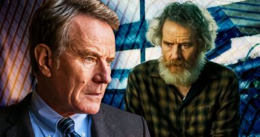 Your Honor Series Ending Explained