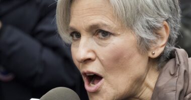 ​Will Jill Stein's Success in Wisconsin Spoil Kamala Harris? – HotAir