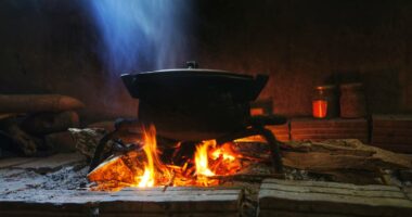 ‘A disaster for us’: How a carbon-credit pioneer allegedly stole millions of dollars by cooking the books