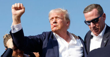 Purchased by The National Pulse