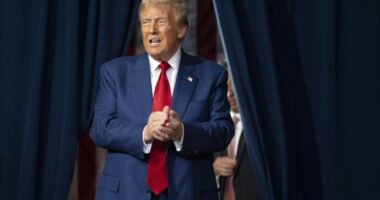 ‘DJT’ and these other Trump-linked stocks continue rally with just over three weeks until the election