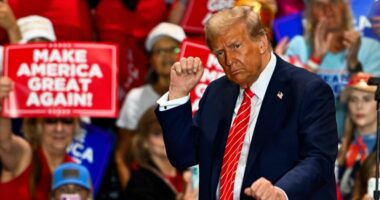 ‘DJT’ stock has seen ‘aggressive’ selling by retail investors leading into election