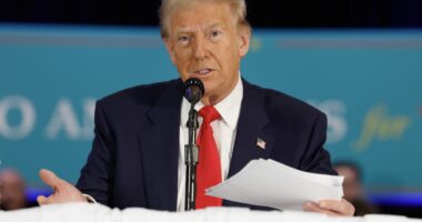 ‘King of debt’ Donald Trump needs to reassure the bond markets — now