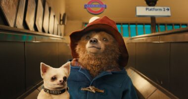 10 Best Adventure Movies for the Whole Family