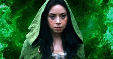 10 Best Aubrey Plaza Movies & TV Shows, Ranked