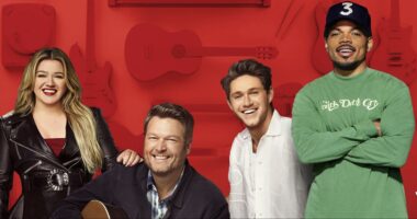15 Best 'The Voice' Winners, Ranked