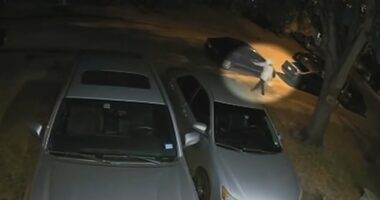 Cops in Houston are on the hunt for man wearing a 'Halloween' Michael Myers mask, who witnesses say shot 38-year-old Eric Pait to death in his own garage on Thursday night