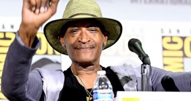 Tony Todd, who played the titular serial killer in the Candyman horror franchise, died at home in Los Angeles this Wednesday aged 69