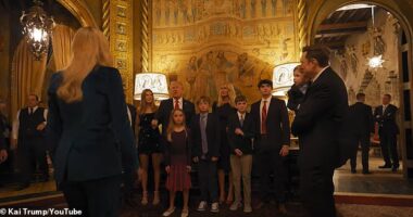 Ivanka, dressed in a blue velvet pantsuit, began to step into the frame, as did Elon Musk and his son X Æ A-12