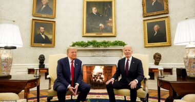 Donald Trump thanked President Joe Biden for ensuring a smooth transition and said politics is 'tough' in their historic meeting at the White House after the Republican's defeat of Kamala Harris