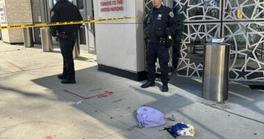 Two people died after an unidentified man stabbed them Monday morning in New York City