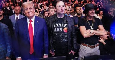 President-elect Donald Trump took Elon Musk to Madison Square Garden on Saturday for a UFC fight. They are seen here with Kid Rock (right)