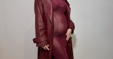 Pregnant Megan Fox showcased her growing baby bump in a completely sheer dress as she stepped out in LA this week