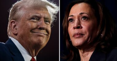 2024 US election results: Live Trump-Harris news and polls