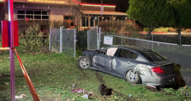 3 Dead After Driver Flees Traffic Stop and Slams Into Group of Pedestrians