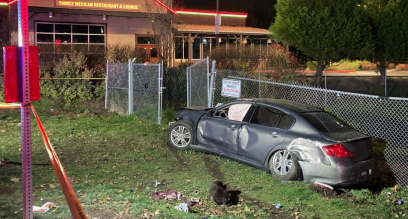 3 Dead After Driver Flees Traffic Stop and Slams Into Group of Pedestrians