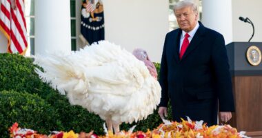 40 Things To Be Grateful For After Trump’s Historic Win