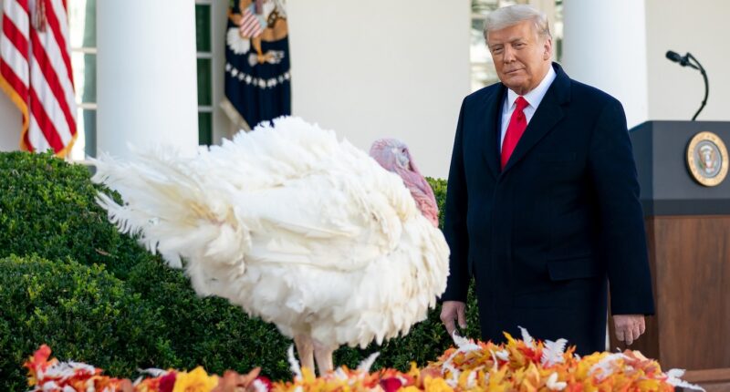 40 Things To Be Grateful For After Trump’s Historic Win
