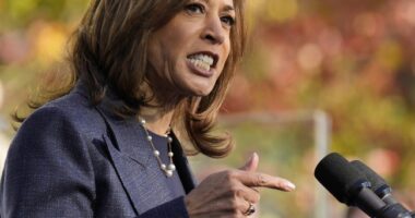 A Glass of Wine, a Board Game, and a Huge Grin. Is Kamala Harris Relieved She Lost? – RedState