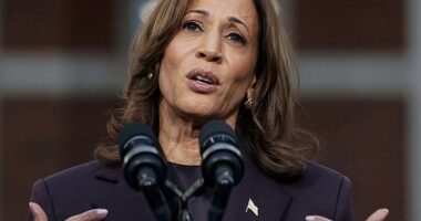Kamala Harris' long list of female celebrity endorsements may have actually damaged her chances of being elected